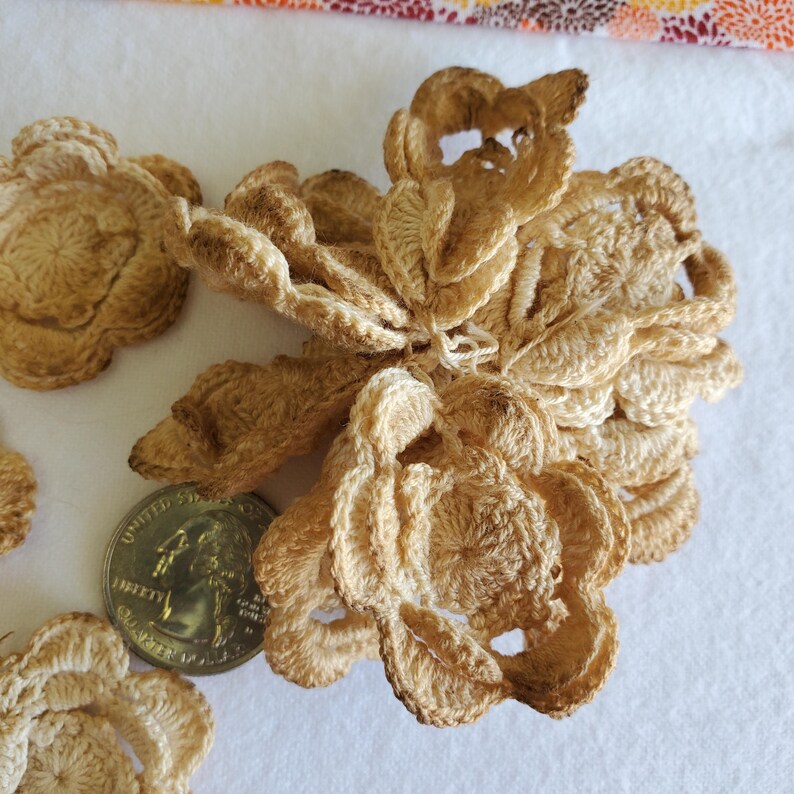 May include: Close-up of several beige crochet flowers. The flowers have detailed petal designs and are arranged on a white surface. A US quarter is next to the flowers for size comparison. The flowers appear to be handmade.