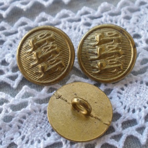 Three Lions 18MM Metal Buttons Rustic Matte Gold Gilt Color - Etsy