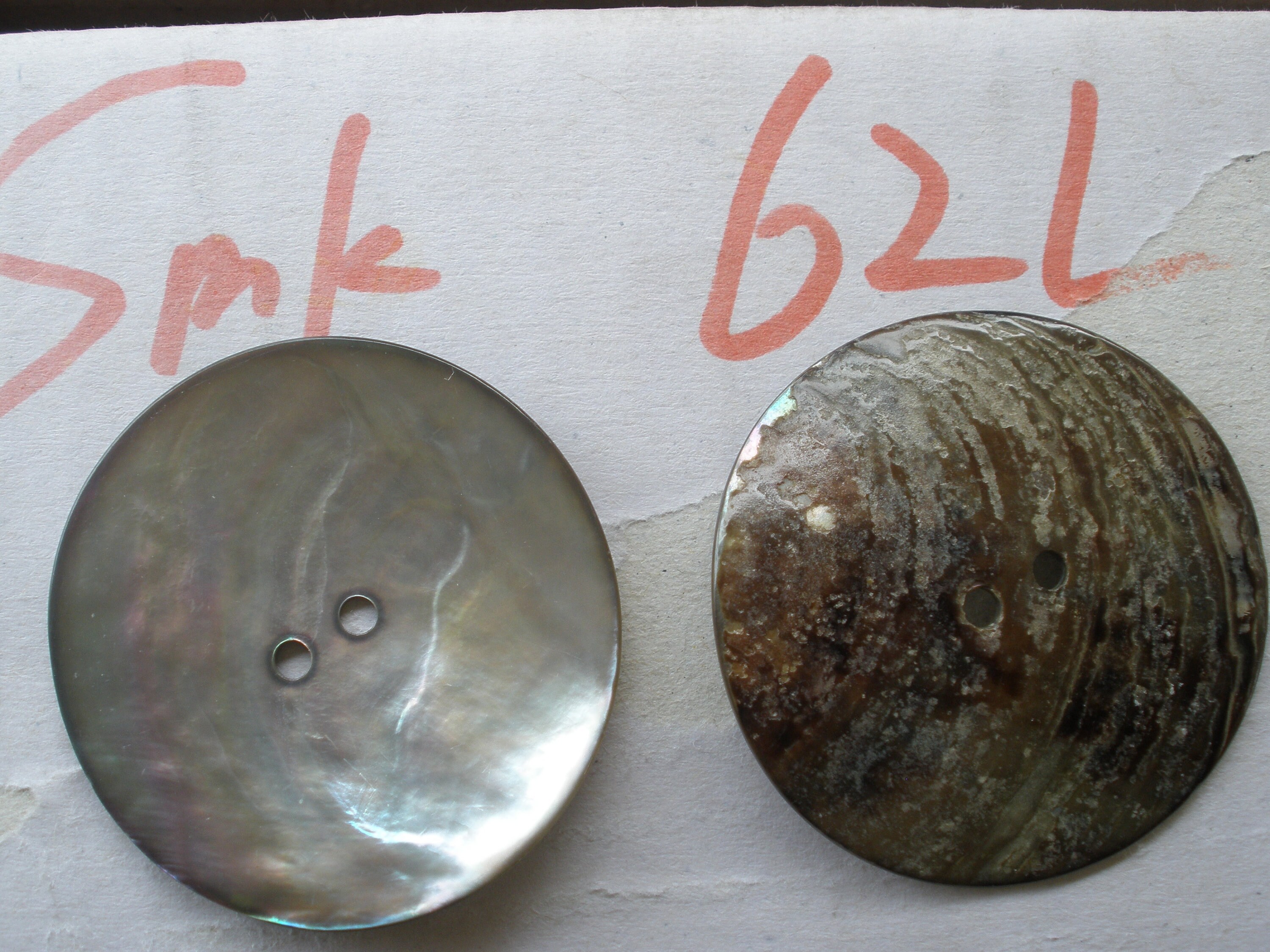 Extra Large 4CM Pearl Smoke Real Shell Buttons MOP Natural 1 9/16 ...