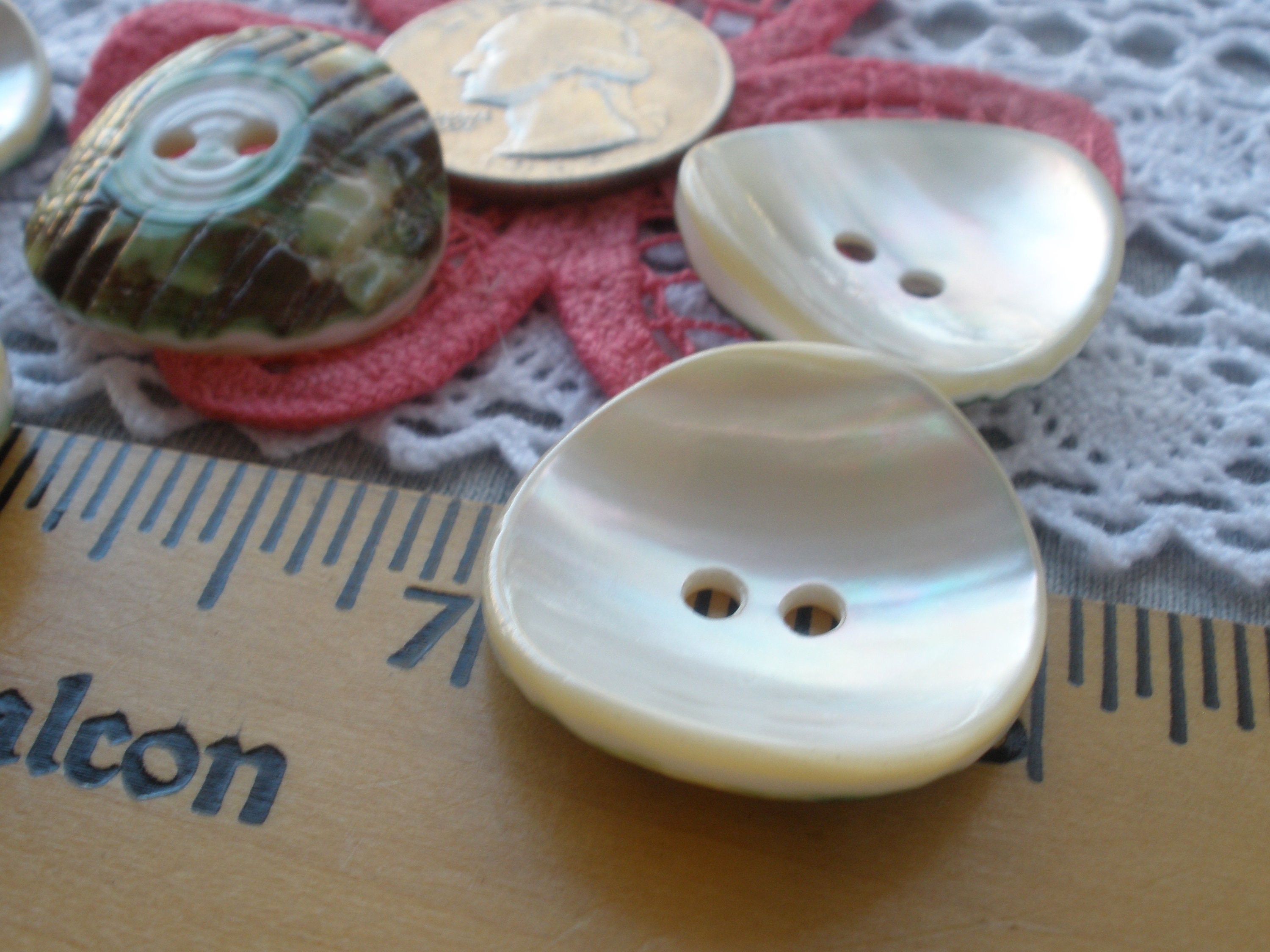 25MM Green Snail Shell Buttons Natural 1 Inch 40L Pearly Sewing 2 Hole ...