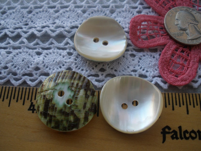 25MM Green Snail Shell Buttons Natural 1 Inch 40L Pearly Sewing 2 Hole ...