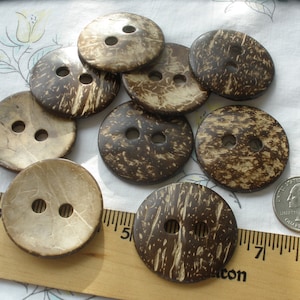 May include: A collection of round, natural coconut shell buttons. The buttons are a mix of light and dark brown with two holes each. A wooden ruler and a quarter are included for size reference.
