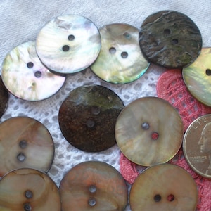 May include: A collection of 15 iridescent and brown shell buttons with two holes each. The buttons are arranged in a semi-circle on a white lace tablecloth.