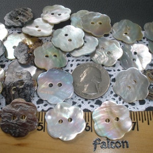 May include: A collection of 20 iridescent white and brown shell buttons with a flower shape and two holes. The buttons are arranged on a white lace doily with a quarter for scale.