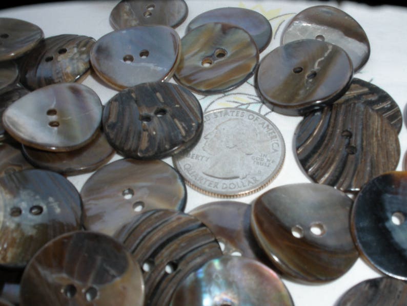 Brown Mussel Shell MOP Buttons 7/8 Curved Iridescent - Etsy