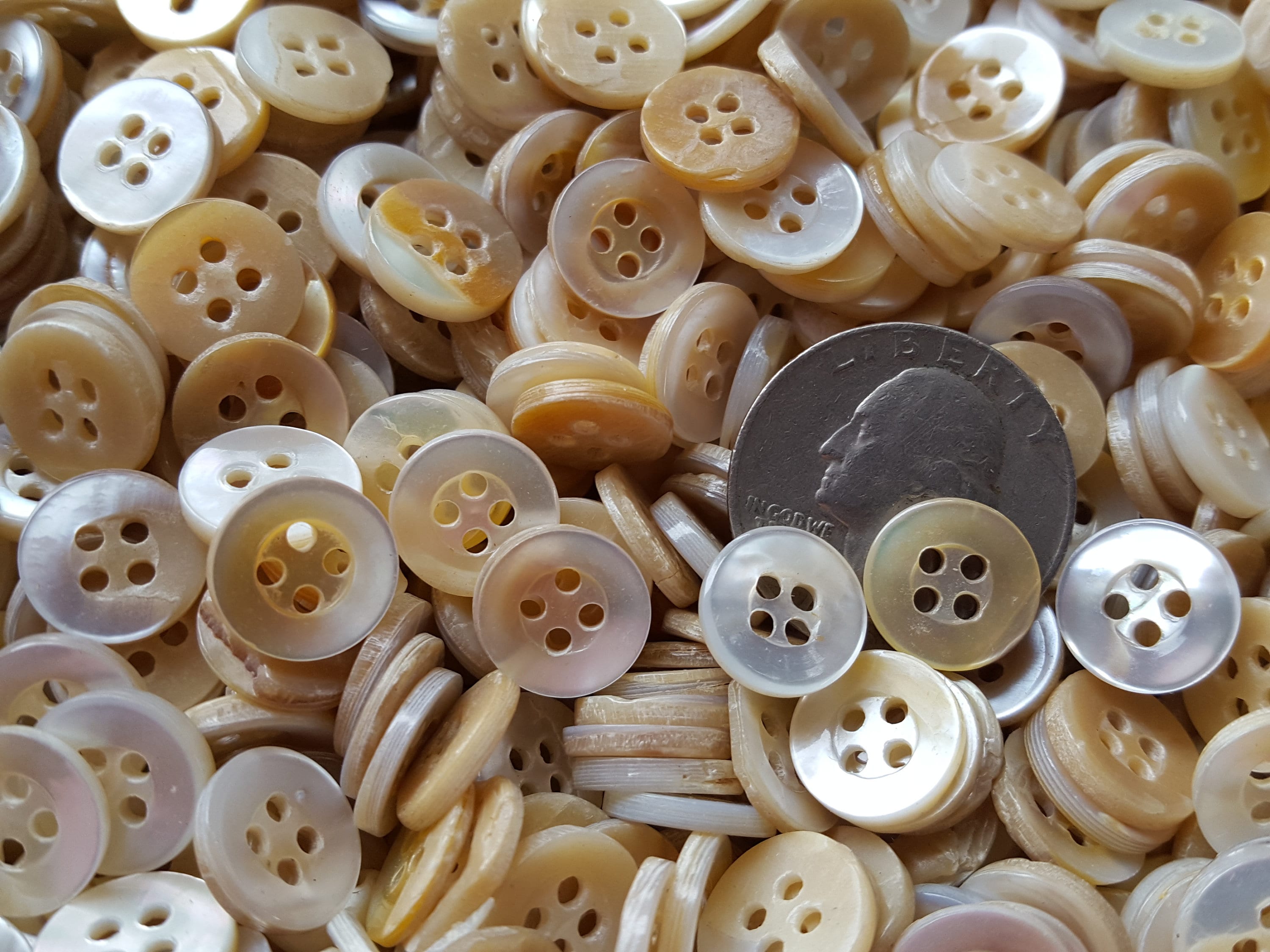 Vintage MOP Classic Shirt Buttons 12MM Pearl White to Yellow Beige