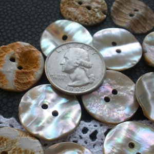 May include: A collection of iridescent mother of pearl buttons with two holes, some with a brown and white shell pattern, and a US quarter for size reference.