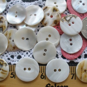 20MM Real Shell Buttons Pearly White to Light Beige Thick Textured 13/ ...