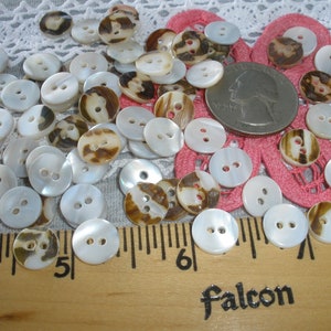 May include: A collection of white and brown shell buttons with two holes. The buttons are arranged on a white lace fabric with a pink fabric flower in the center. A ruler is in the bottom of the image with the numbers 4, 5, 6, and 7 visible.