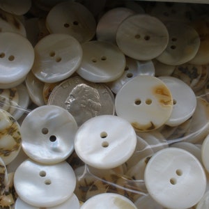 20MM Real Shell Buttons Pearly White to Light Beige Thick Textured 13/ ...