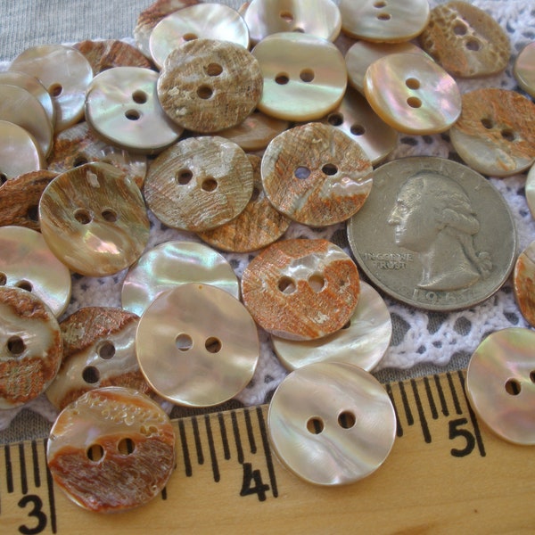 15MM Abalone Shell Buttons Natural 5/8" 24L Pearly rose Rainbow MOP sewing 2 hole sew on bulk large holes thick wavy