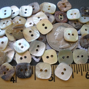 May include: A collection of approximately 30 square-shaped, two-hole mother-of-pearl buttons in various shades of brown, beige, and white. The buttons are arranged on a white lace surface with a ruler for scale. The buttons are approximately 1 inch in size.