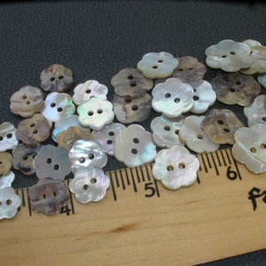 May include: A collection of iridescent white and brown flower-shaped buttons with two holes each. The buttons are arranged in a semi-circle on a wooden ruler with the words "Falcon" and "6" visible.