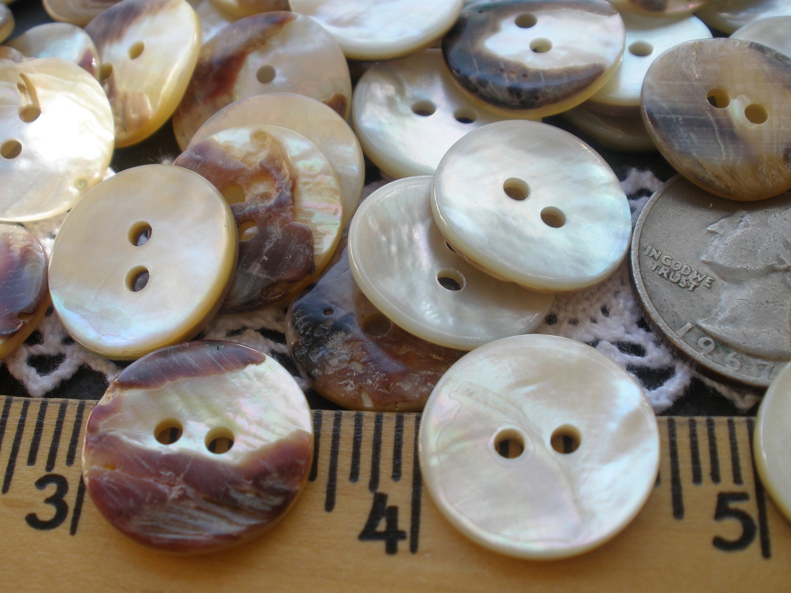 Thick Polished Real Shell Buttons Flat Back Natural Pearly 17.5mm 11/16 ...