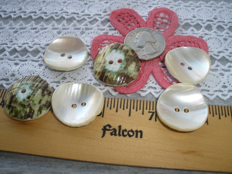 25MM Green Snail Shell Buttons Natural 1 Inch 40L Pearly Sewing 2 Hole ...