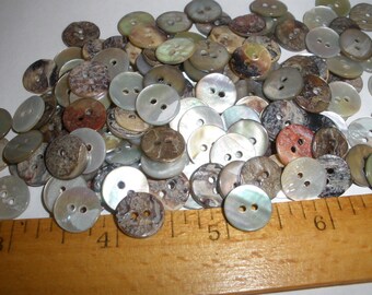 Bulk Mop Shell Buttons 11mm 18l 7 16 Pearly White Agoya Etsy