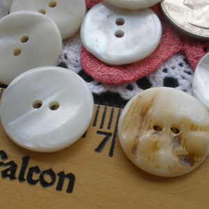 20MM Real Shell Buttons Pearly White to Light Beige Thick Textured 13/ ...