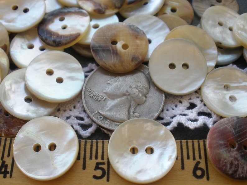 Thick Polished Real Shell Buttons Flat Back Natural Pearly 17.5mm 11/16 ...
