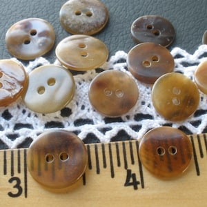 May include: A collection of 12 brown, two-hole, shell buttons. The buttons are arranged on a white crocheted doily and a wooden ruler.