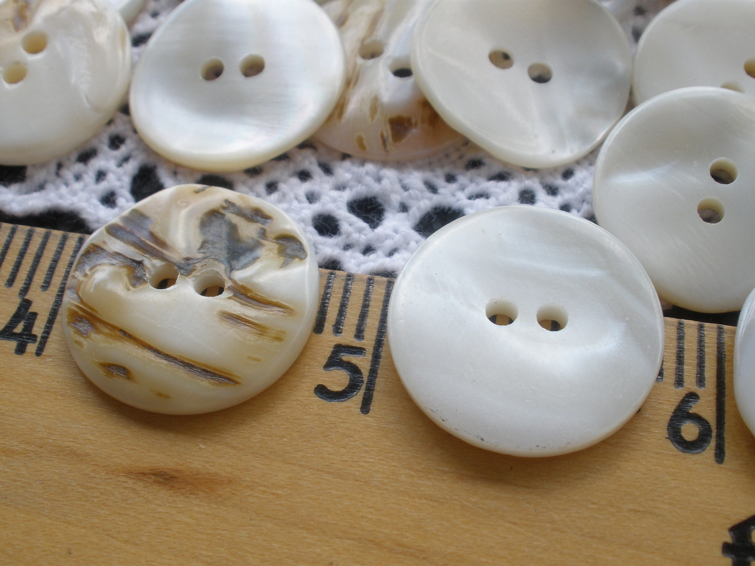 Beige Shell Button 20MM Real Shell Buttons Pearly White to Light Beige Thick Textured 13/ ...