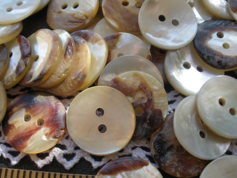 Thick Polished Real Shell Buttons Flat Back Natural Pearly 17.5mm 11/16 ...