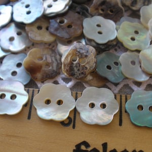May include: A collection of iridescent, mother-of-pearl buttons in a flower shape with two holes. The buttons are arranged on a white fabric background with a wooden ruler.