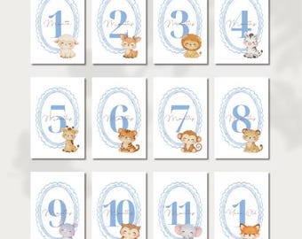 Baby Boy Milestone Cards