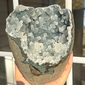 May include: A geode with a rough, gray exterior and a light blue, crystal-filled interior. The crystal formations have a bubbly texture. The geode is held in a hand, showcasing its size and shape.