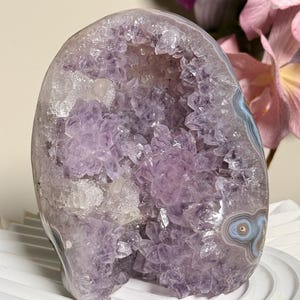 Pode incluir: Uma grande geodo de ametista polida, com um centro oco preenchido com cristais roxos brilhantes. A casca externa tem faixas cinza, branca e azul. A geodo está sobre uma superfície branca ondulada, com flores cor-de-rosa ao fundo.