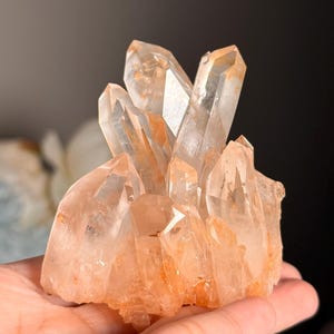 May include: A cluster of clear quartz crystals featuring natural orange and reddish iron oxide inclusions concentrated at the base and within the translucent, pointed crystalline structures that extend upward in various heights.