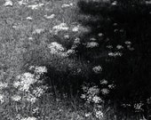 Impresión Giclee de 11x17 cerca de Hyla Brook, NH 1983 Fotografía de paisaje en blanco y negro colgante de pared grande
