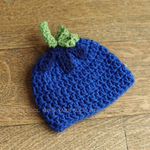 Blueberry Crocheted Hat for All Ages