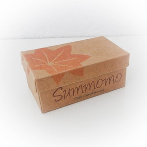 Shoe Brown for Minifee doll on box, BJD Shoes by Summomo 1/4 MSD image 4