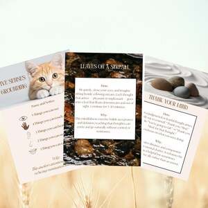 May include: Three mindfulness cards with text and illustrations. One card features a ginger cat, another shows a stream, and the third has stones on sand. The cards offer exercises for grounding and managing thoughts.