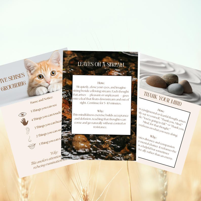 May include: Three mindfulness cards with text and illustrations. One card features a ginger cat, another shows a stream, and the third has stones on sand. The cards offer exercises for grounding and managing thoughts.