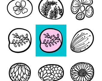 Libro para colorear de plantas y flores minimalistas (Descarga PDF)