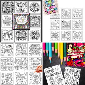 May include: A collection of swear word coloring books and pencils. The books feature various phrases and illustrations, including "Fuck the World" and "You're Shit." The pencils are in various colors.