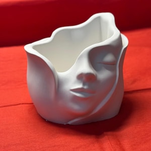 Peut inclure: Un pot de fleurs en céramique blanche avec un visage sculpté. Le pot présente un visage serein aux yeux fermés et aux traits délicats. L'intérieur est un espace lisse et ouvert pour les plantes ou les objets décoratifs. Le pot est posé sur une surface rouge.