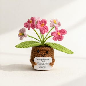 May include: A crocheted brown pot with a smiling face holds a plant with pink and light pink flowers and green leaves. A small sign reads "Emotional support Plant" and a motivational quote.