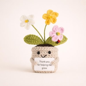Op de afbeelding: Een gehaakte bloempot met een lachend gezicht, met een bordje met de tekst "Thank you for helping me grow". De pot heeft drie kleurrijke gehaakte bloemen: wit, geel en roze. Een klein lieveheersbeestje zit op een van de groene bladeren.