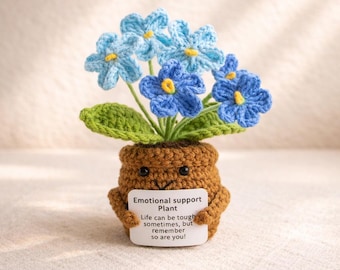 Emotional Support Crochet Flower Pot – Handmade Positive Plant, Cute Desk Decor, Encouragement Gift, Small Pocket Hug Gift for Friend
