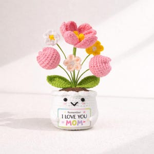 Muttertagsgeschenk - Handgemachter gehäkelter Blumentopf für Mama, niedliches Schreibtischdekor, Ermutigungsgeschenk, kleine Taschenumarmungsgeschenk für Mama