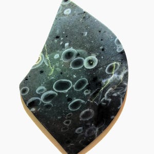 May include: A uniquely shaped, dark gray stone with a pattern of white and black circular shapes. The stone has a polished surface and a light brown edge, set against a white background. The overall shape is reminiscent of a teardrop or a leaf.