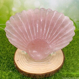 Rose Quartz Sea Shell | Rose Quartz Shell | Rose Quartz Crystal Carving
