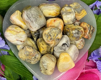 Crazy Lace Agate Tumbled Stone | Polished Stone | 1 in | Healing Stones | Healing Crystals | Small Crystals | Brown Crystals