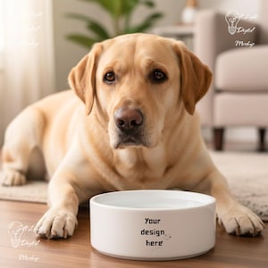 May include: A golden Labrador Retriever lies in front of a white ceramic dog bowl. The bowl has the text "Your design here" printed on the side. The dog is light brown with a focused expression.