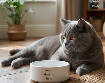 Maqueta de tazón para gatos / Maqueta de gato británico de pelo corto / Maqueta de tazón de cerámica blanca para mascotas / Maqueta de gato gris / Tazón de comida para gatitos Foto de estilo de vida / Digital