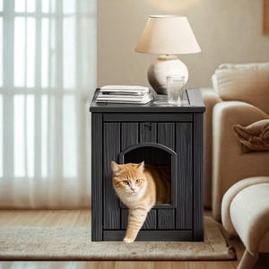 May include: A black cat house with a side table design. The cat house has a curved doorway and a tabby cat is visible inside. A lamp, glass, and books are on top of the table. The cat house is made of wood.