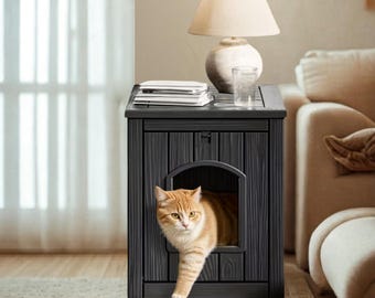 Cat Litter Box with Lid and Odor Control Covered