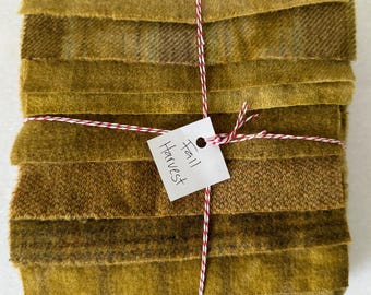 Hand Dyed Wool Fabric Bundle: Fall Harvest Colors, Rug Hooking